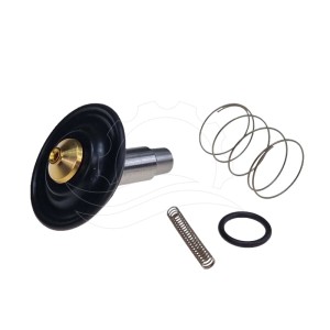Kit de reparații pentru electrovalva Bürkert 6213 0-10 bar DN13 FKM MS DC