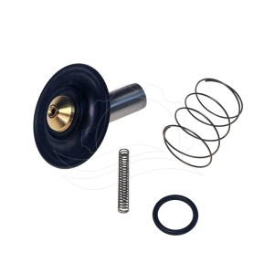 Kit de reparații pentru electrovalva Bürkert 6213 0-10 bar DN13 EPDM MS AC