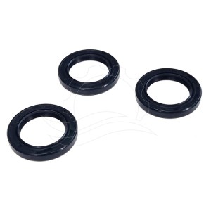Garnituri de etanșare pentru pompă Interpump (Kit 2)